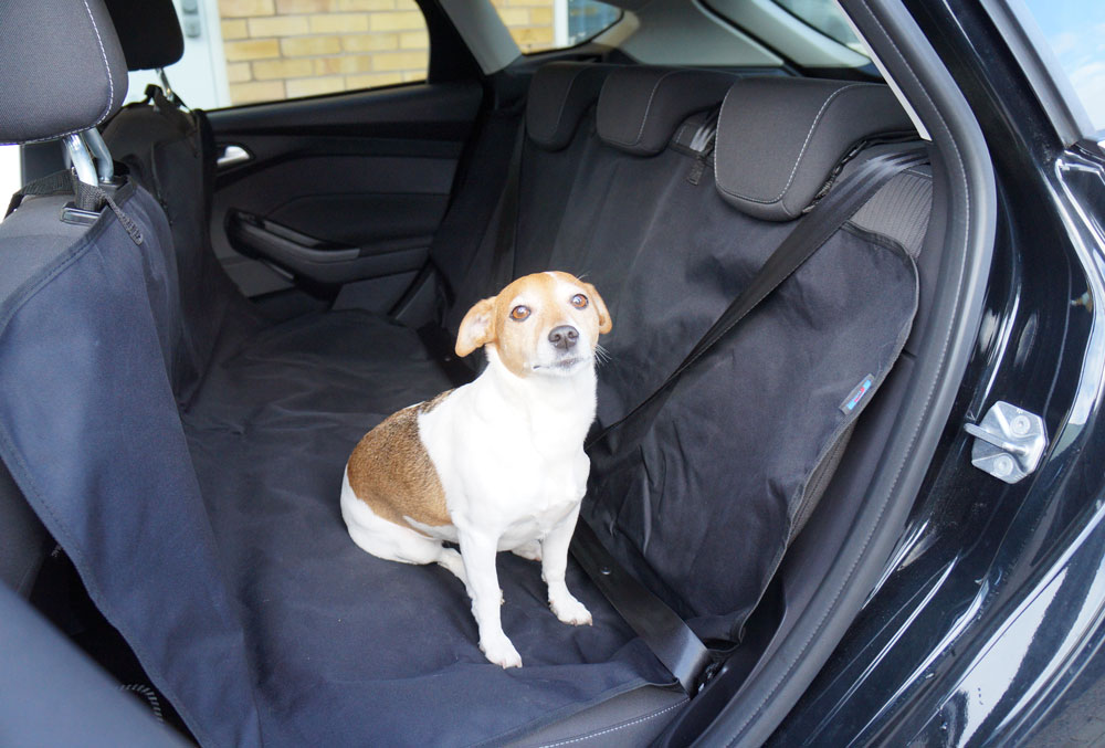 Multi-Purpose Boot Liner